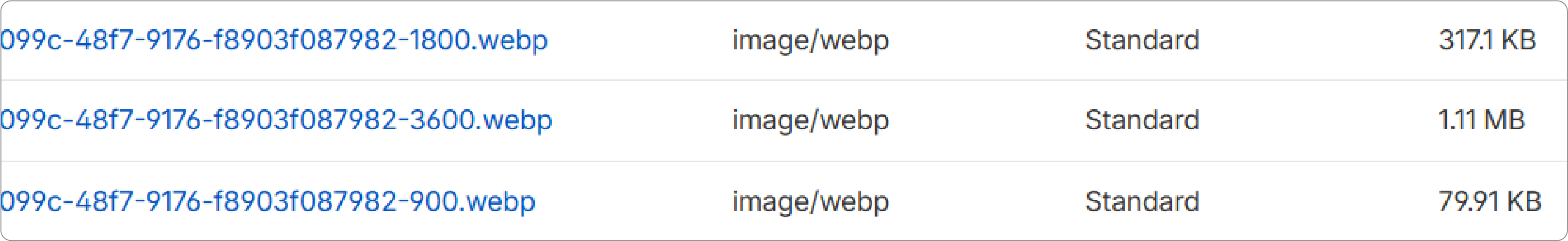 Images stored on Cloudflare R2 with multiple versions of the same file in different sizes and resolutions to adapt to various screen formats.